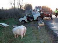 Gespann zerlegt Gespann zerlegt