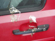 Unter B&auml;umen verschmutzen Autos besonders schnell.